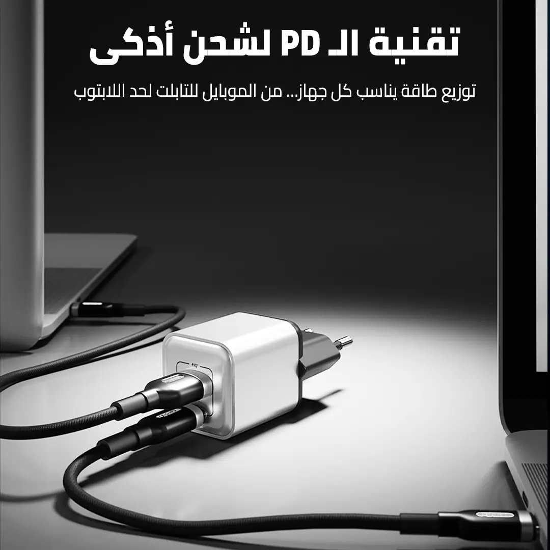 7.webp